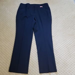 Navy Ann Taylor pants